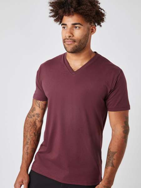 Fall Essentials V-Neck 5-Pack 2023 | Port Red V-Neck Tee | Fresh Clean Threads
